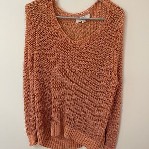 NWOT Loft Plus sweater